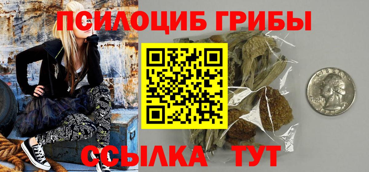 Тамбов  Галлюциногенные грибы Psilocybe  купить наркоту  Вход с VPN 